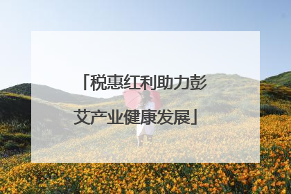 税惠红利助力彭艾产业健康发展