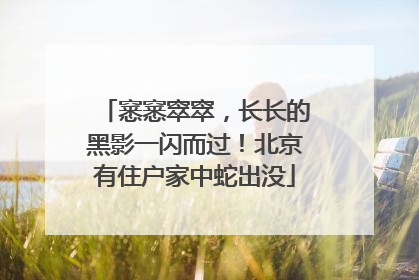 窸窸窣窣，长长的黑影一闪而过！北京有住户家中蛇出没