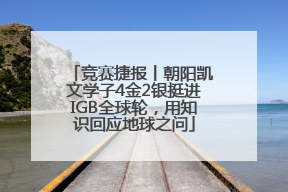 竞赛捷报丨朝阳凯文学子4金2银挺进IGB全球轮，用知识回应地球之问