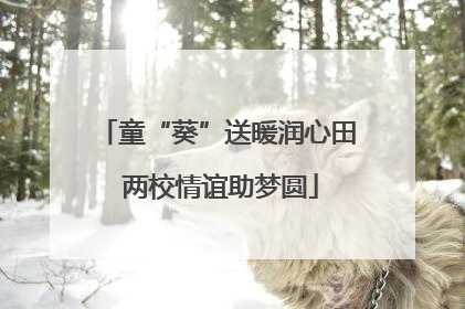 童“葵”送暖润心田 两校情谊助梦圆