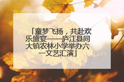 童梦飞扬，共赴欢乐盛宴——庐江县同大镇农林小学举办六一文艺汇演