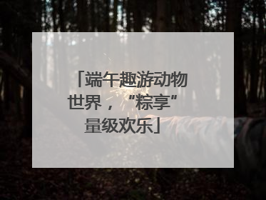 端午趣游动物世界，“粽享”量级欢乐