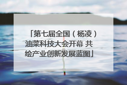 第七届全国（杨凌）油菜科技大会开幕 共绘产业创新发展蓝图