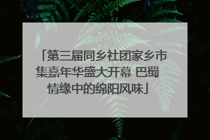 第三届同乡社团家乡市集嘉年华盛大开幕 巴蜀情缘中的绵阳风味