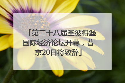 第二十八届圣彼得堡国际经济论坛开幕，普京20日将致辞