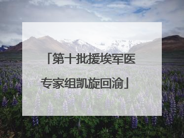 第十批援埃军医专家组凯旋回渝