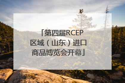 第四届RCEP区域（山东）进口商品博览会开幕
