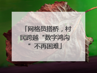 网格员搭桥，村民跨越“数字鸿沟”不再困难