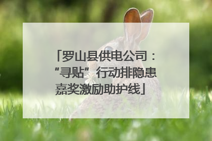 罗山县供电公司：“寻贴”行动排隐患 嘉奖激励助护线