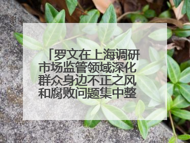 罗文在上海调研市场监管领域深化群众身边不正之风和腐败问题集中整治工作