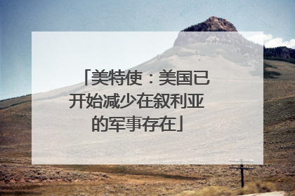 美特使：美国已开始减少在叙利亚的军事存在