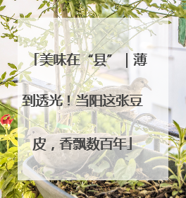 美味在“县”｜薄到透光！当阳这张豆皮，香飘数百年