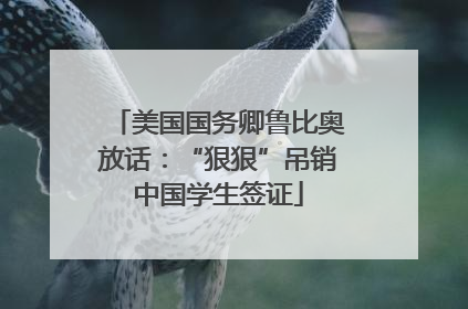 美国国务卿鲁比奥放话：“狠狠”吊销中国学生签证