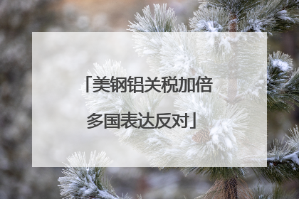 美钢铝关税加倍 多国表达反对