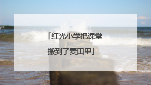 红光小学把课堂搬到了麦田里