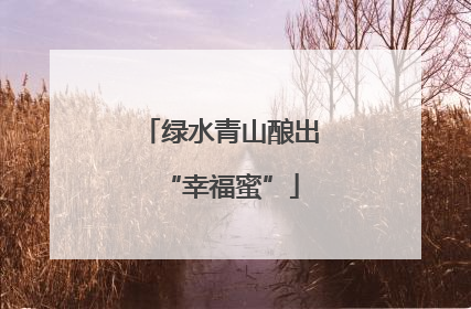 绿水青山酿出“幸福蜜”