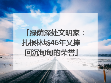 绿荫深处文明家：扎根林场46年又捧回沉甸甸的荣誉