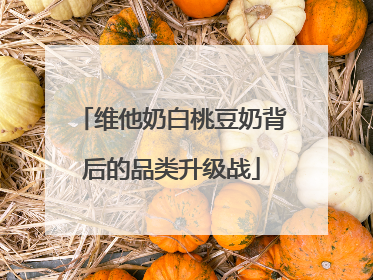 维他奶白桃豆奶背后的品类升级战