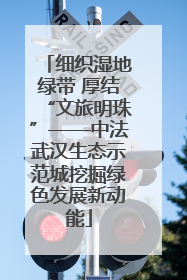 细织湿地绿带 厚结“文旅明珠”——中法武汉生态示范城挖掘绿色发展新动能