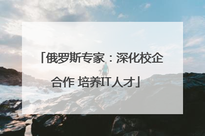 俄罗斯专家：深化校企合作 培养IT人才