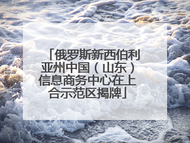 俄罗斯新西伯利亚州中国（山东）信息商务中心在上合示范区揭牌