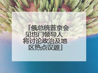 俄总统普京会见也门领导人 将讨论政治及地区热点议题