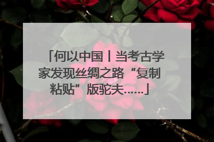 何以中国丨当考古学家发现丝绸之路“复制粘贴”版驼夫……