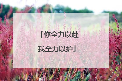 你全力以赴 我全力以护