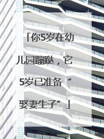 你5岁在幼儿园蹦跶，它5岁已准备“娶妻生子”