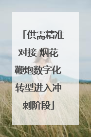 供需精准对接 烟花鞭炮数字化转型进入冲刺阶段
