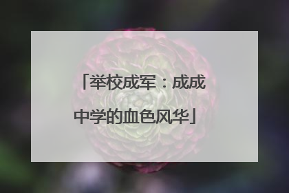 举校成军：成成中学的血色风华