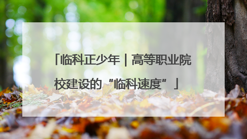 临科正少年｜高等职业院校建设的“临科速度”