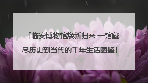 临安博物馆焕新归来 一馆藏尽历史到当代的千年生活图鉴