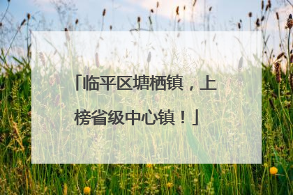临平区塘栖镇，上榜省级中心镇！