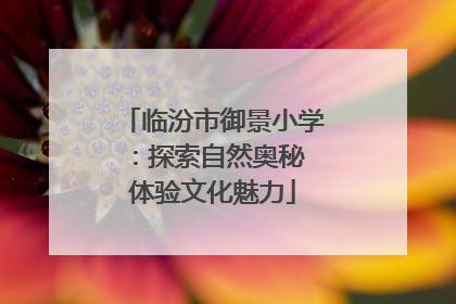 临汾市御景小学：探索自然奥秘 体验文化魅力