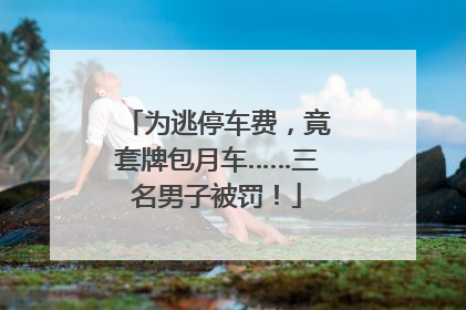 为逃停车费，竟套牌包月车……三名男子被罚！