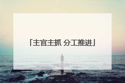 主官主抓 分工推进