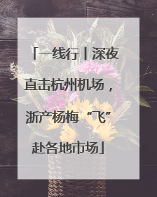 一线行丨深夜直击杭州机场，浙产杨梅“飞”赴各地市场