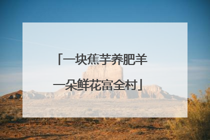 一块蕉芋养肥羊 一朵鲜花富全村