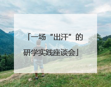 一场“出汗”的研学实践座谈会