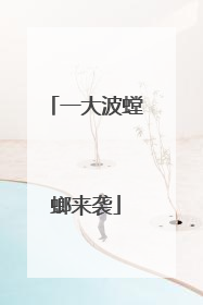 一大波螳螂来袭