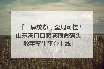 一屏统览，全局可控！山东港口日照港粮食码头数字孪生平台上线