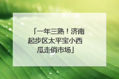 一年三熟！济南起步区太平宝小西瓜走俏市场