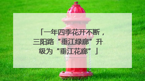 一年四季花开不断，三阳路“垂江绿廊”升级为“垂江花廊”