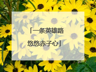 一条英雄路 悠悠赤子心