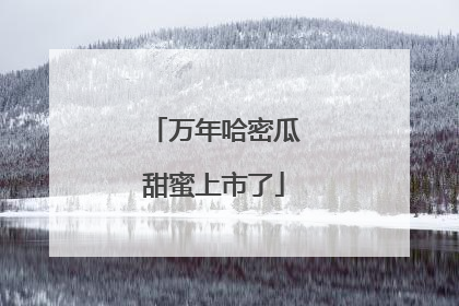 万年哈密瓜甜蜜上市了