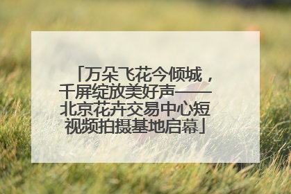 万朵飞花今倾城，千屏绽放美好声——北京花卉交易中心短视频拍摄基地启幕