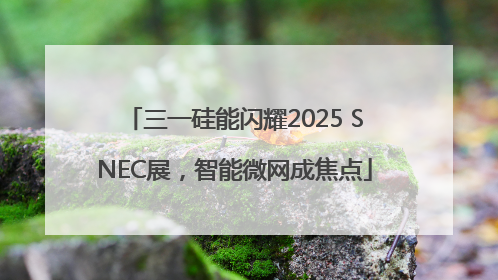 三一硅能闪耀2025 SNEC展，智能微网成焦点