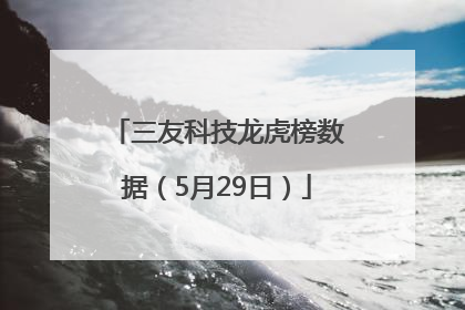 三友科技龙虎榜数据（5月29日）