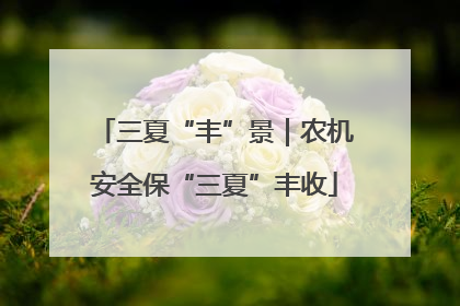 三夏“丰”景｜农机安全保“三夏”丰收